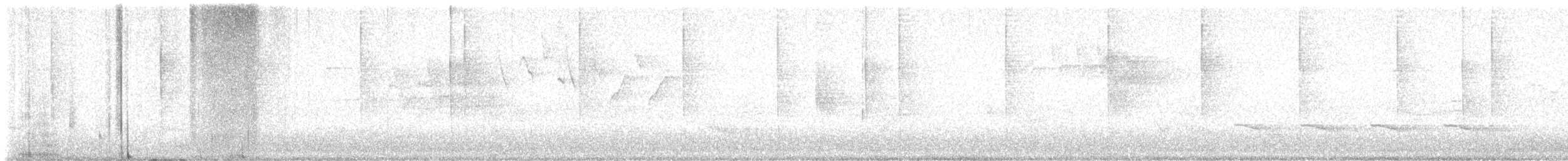 Paruline vermivore - ML620322194