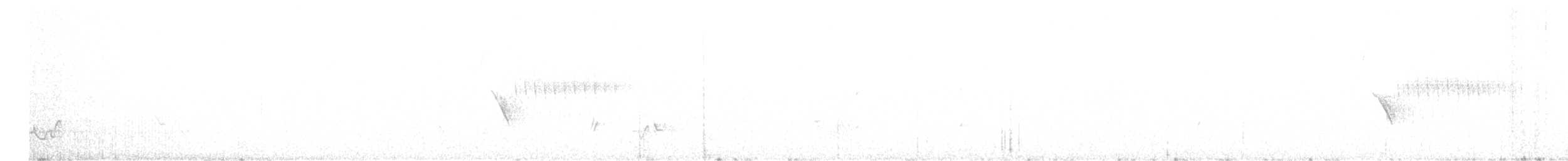Тауї плямистий - ML620322428