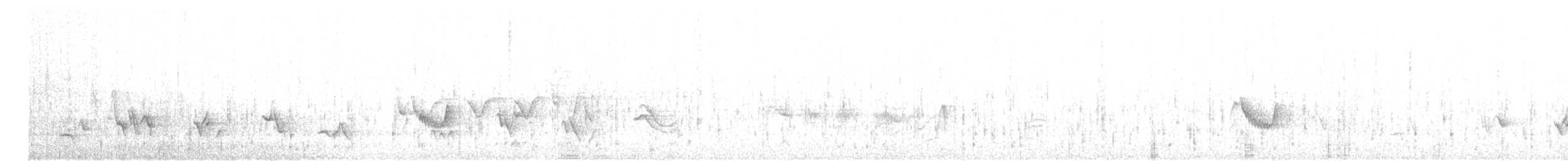 Черноголовый толстонос - ML620322571