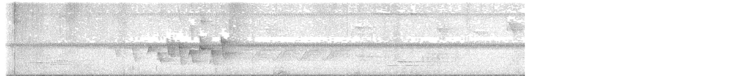 Connecticut Warbler - ML620323905