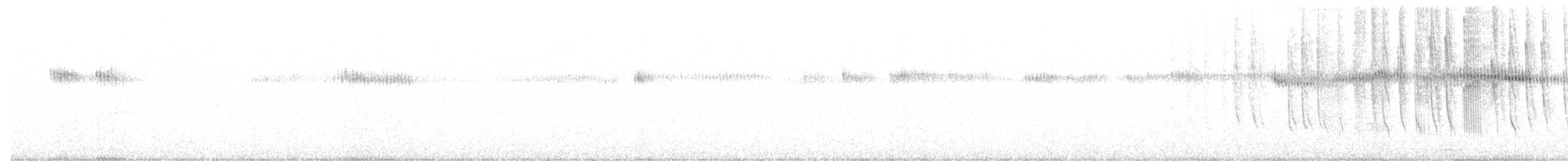 Широкохвостый колибри - ML620327517