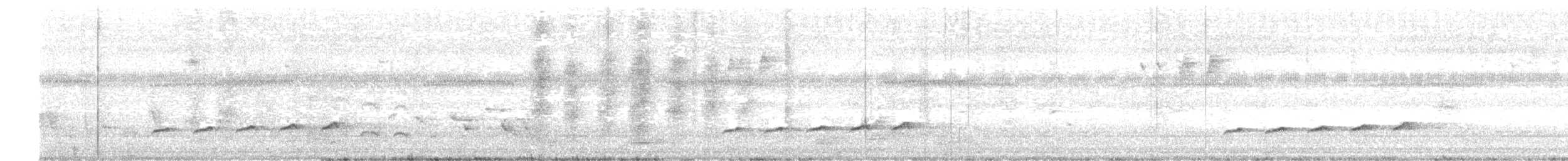 Зозуля-дронго вилохвоста - ML620328257