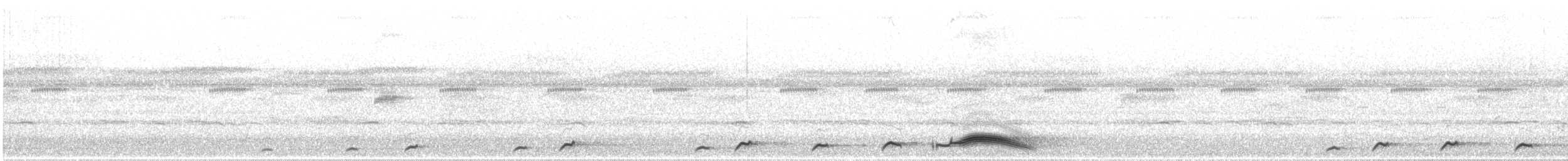 Pauraquenachtschwalbe - ML620335470