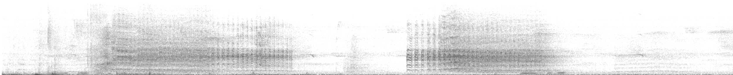 テリハメキシコインコ（holochlorus／brewsteri） - ML620335526