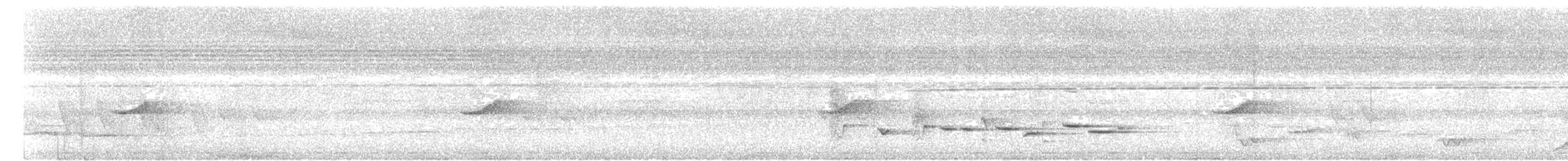 Perlbrust-Fächerschwanz - ML620335801