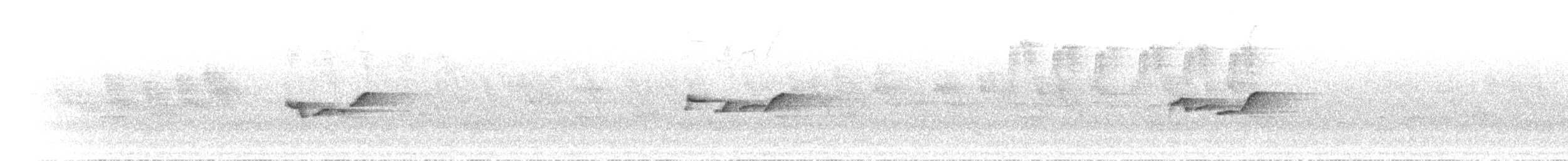 Gri Başlı Kanarya Sinekkapanı - ML620339161