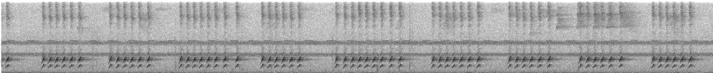White-crowned Tapaculo - ML620339368