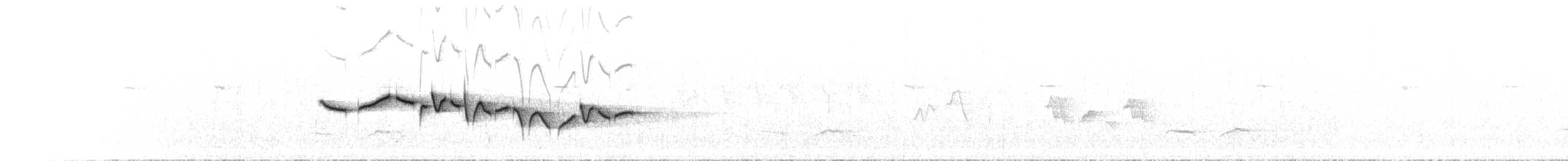 Тимелія-куцохвіст велика (підвид mutica) - ML620339408