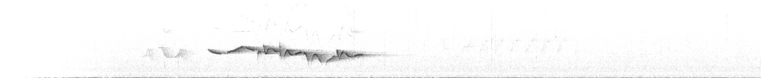 Тимелія-куцохвіст велика (підвид mutica) - ML620339409