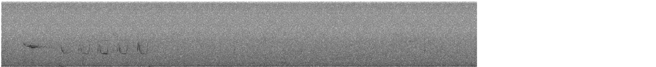 Breitspiegel-Nachtschwalbe - ML620342228
