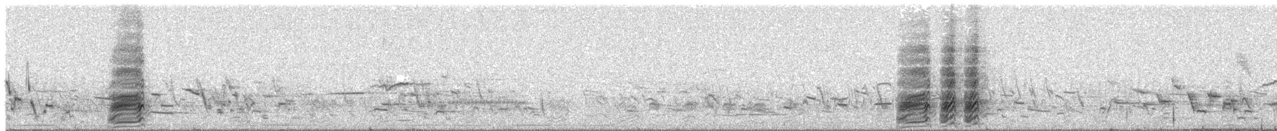 Kara Gagalı Saksağan - ML620345489
