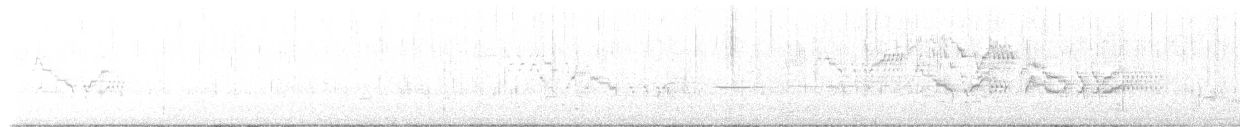 Дрізд-короткодзьоб канадський - ML620345728