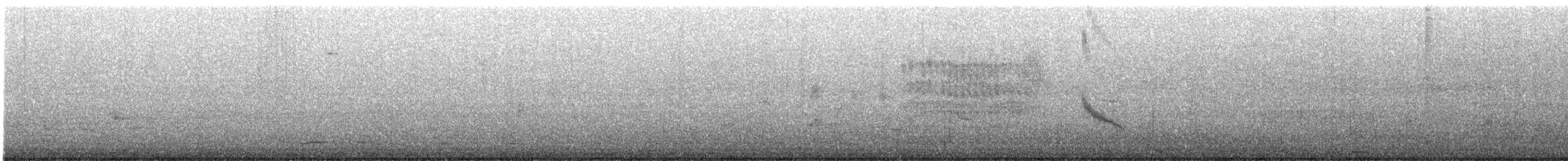 Тауї плямистий - ML620346876