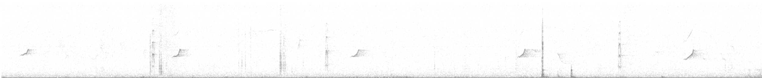 Kanaria Handiko txonta urdina - ML620347491