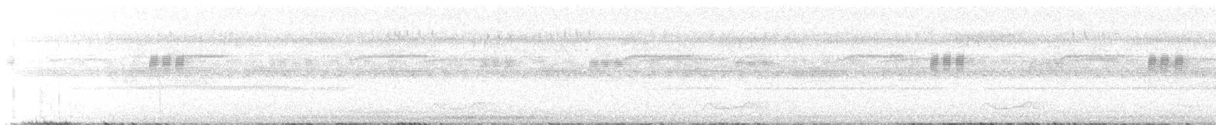 Belizenachtschwalbe - ML620348418