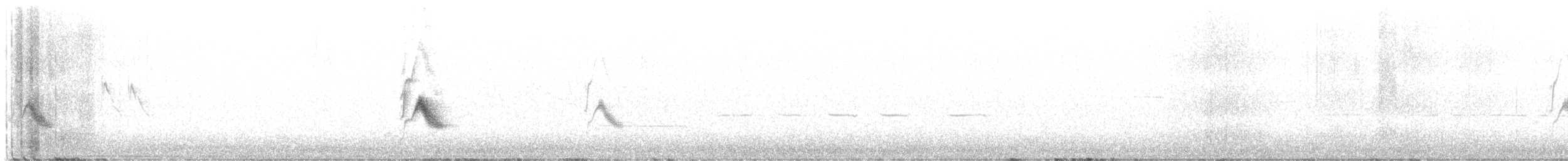 Дрізд-короткодзьоб канадський - ML620349331