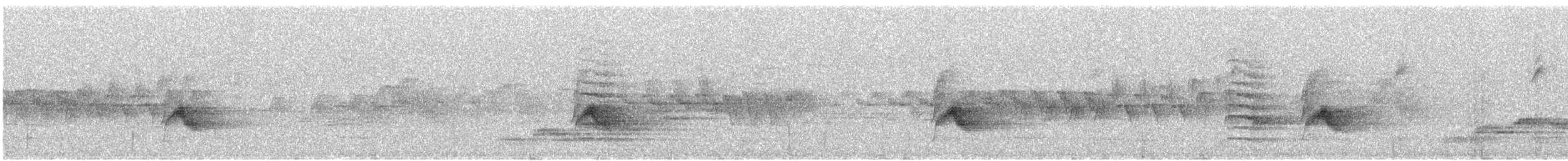 Дрізд-короткодзьоб канадський - ML620350872