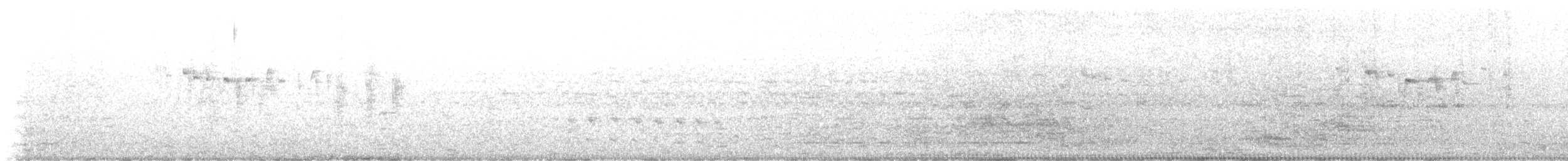 Grauschwanz-Dickichtschlüpfer - ML620351122