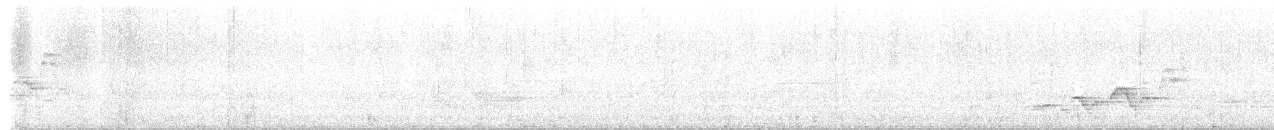 brunkinnskogtrost (swainsoni gr.) - ML620351762