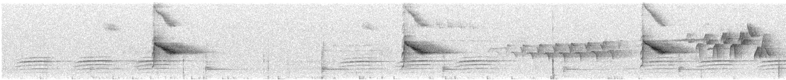 Дрізд-короткодзьоб канадський - ML620351846