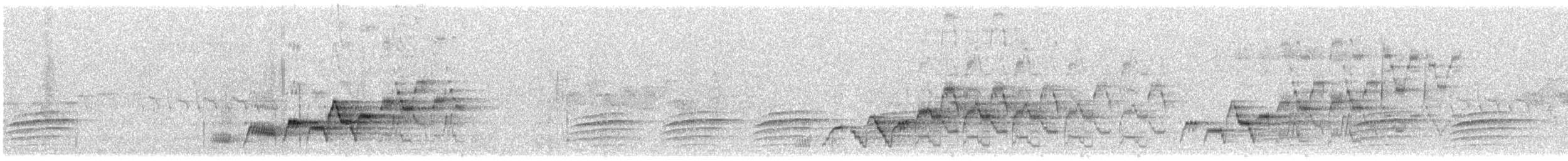 Дрізд-короткодзьоб Cвенсона - ML620351851