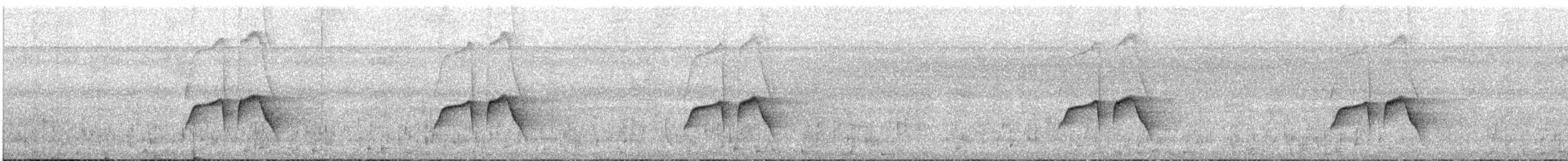 Мурав’янка-куцохвіст цяткована - ML620352597