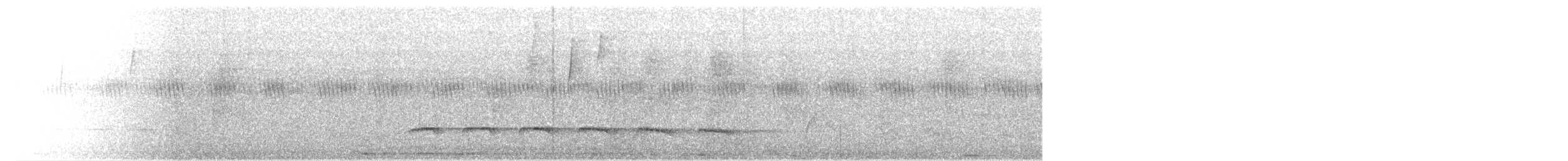 Weißbinden-Ameisenvogel - ML620352622