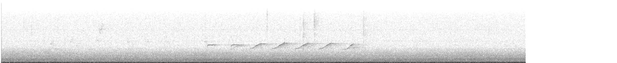 limicole sp. - ML620353065