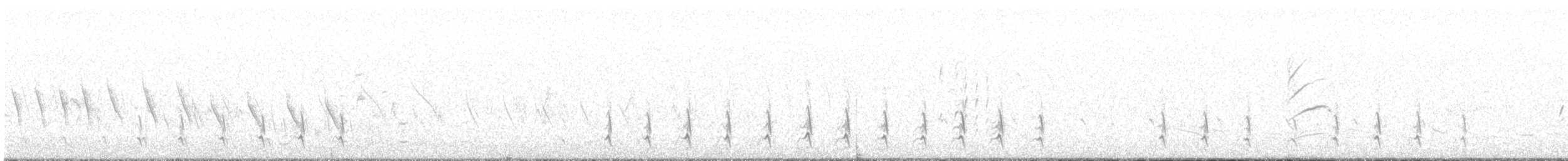 חרטומית ביצות - ML620355756