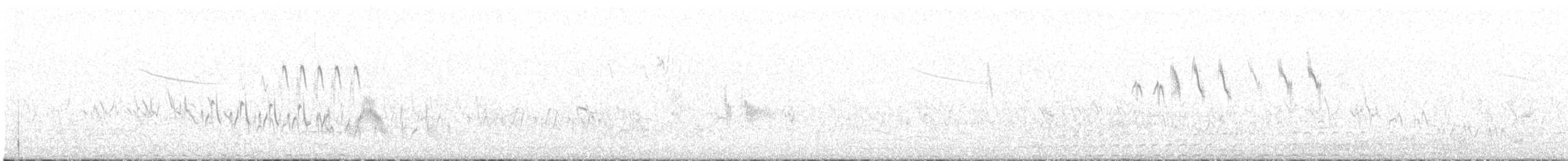חרטומית ביצות - ML620355806