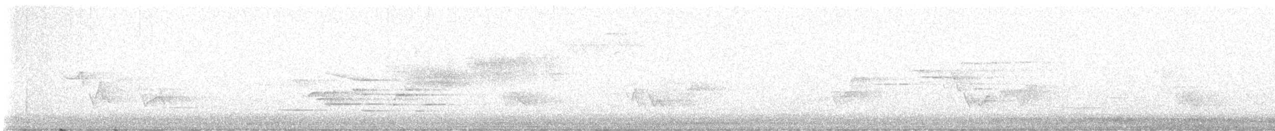 Дрізд-короткодзьоб плямистоволий - ML620355891