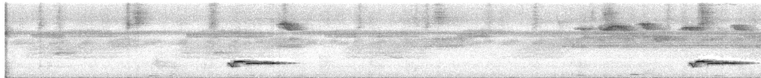 Troglodyte à poitrine blanche - ML620355994