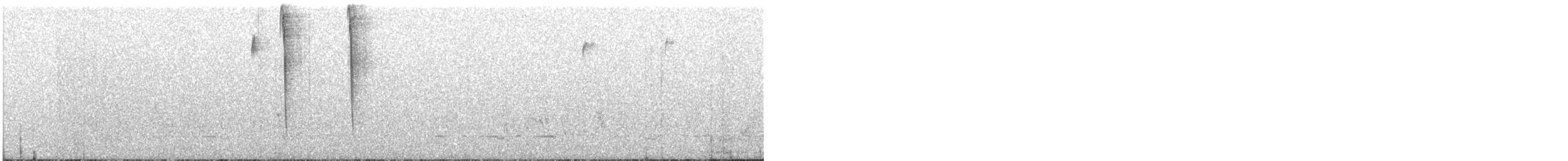 Carpentariagrasschlüpfer - ML62035621