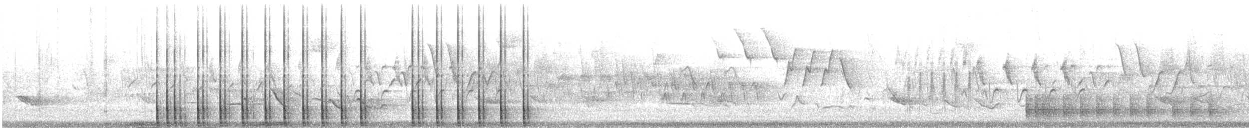 Pic maculé - ML620357102