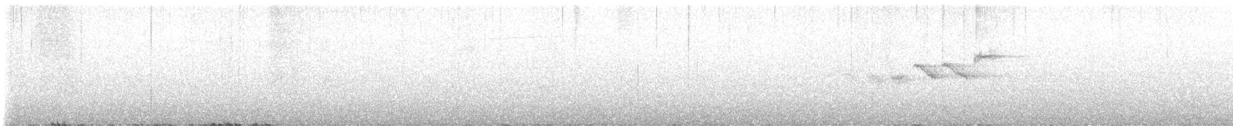 Townsend-/Einsiedelwaldsänger - ML620358135