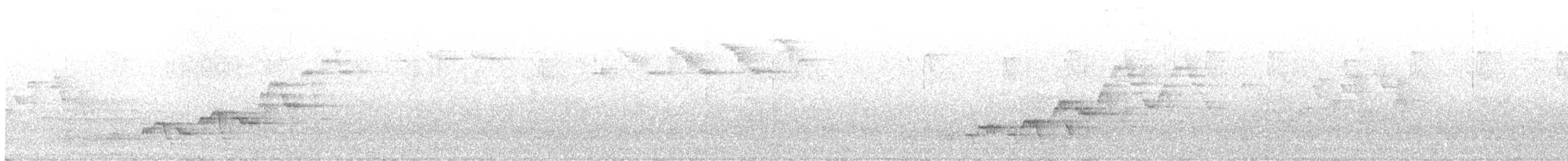 Дрізд-короткодзьоб Cвенсона - ML620358596