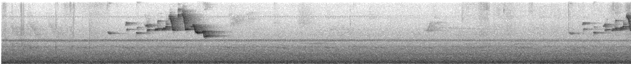 Серогрудый певун - ML620358776