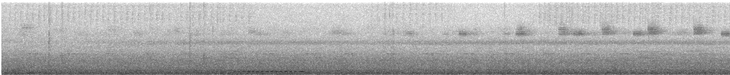 Tachira Antpitta - ML620358986