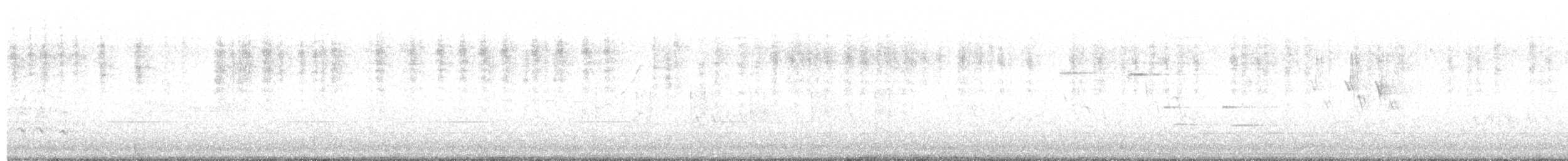 Troglodyte familier (groupe aedon) - ML620359318