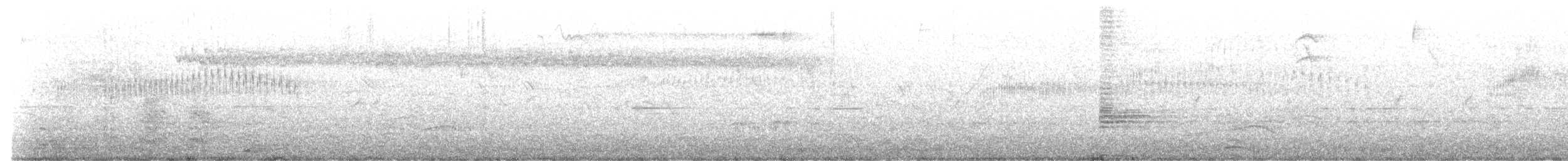 カタジロアマツバメ - ML620359851