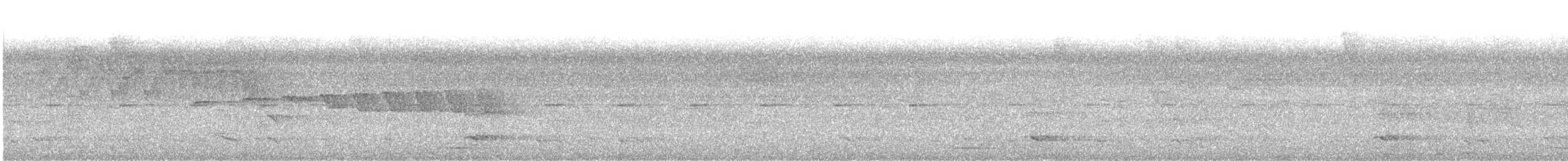 Grauscheitel-Ameisenvogel - ML620359859