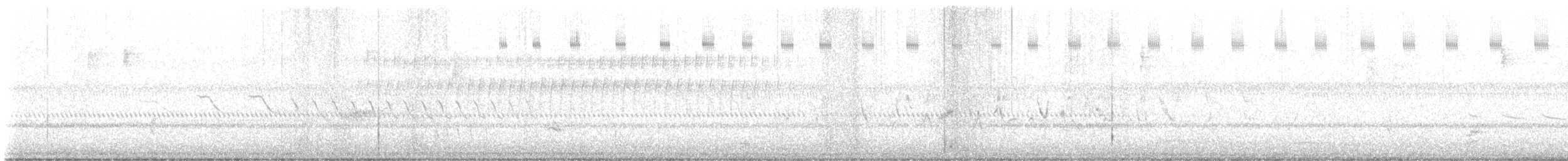 Carolinanachtschwalbe - ML620360081