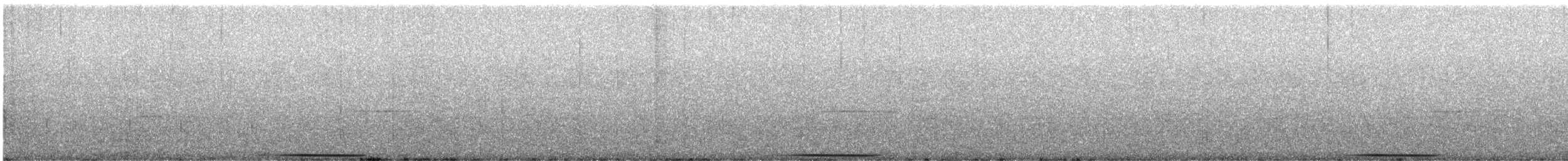 Çizgili Bıldırcın Kumrusu - ML620360386