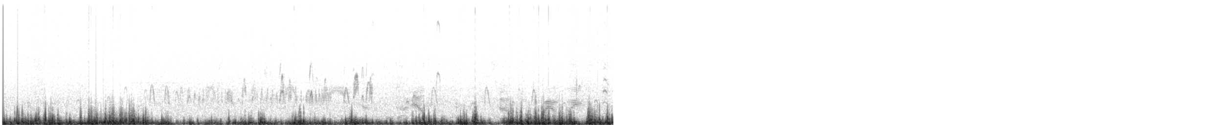 Schlankschnabel-Regenpfeifer - ML620361174