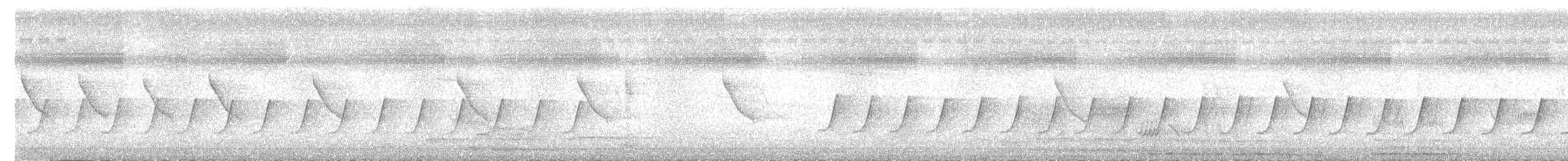 langhaleskredderfugl - ML620362884