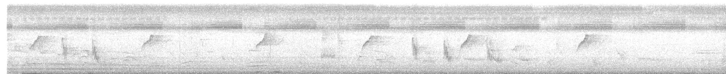 Long-tailed Shrike - ML620362929