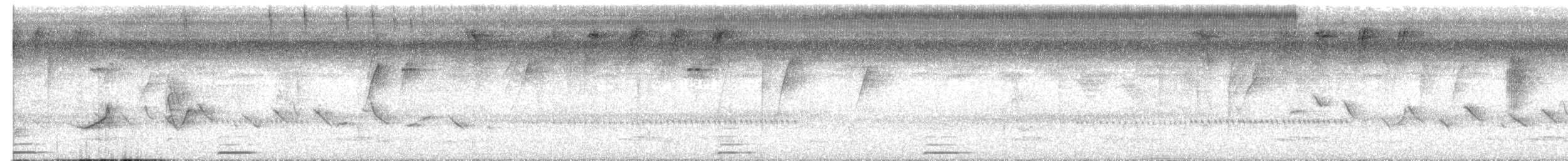 holoubek šedomodrý - ML620363125