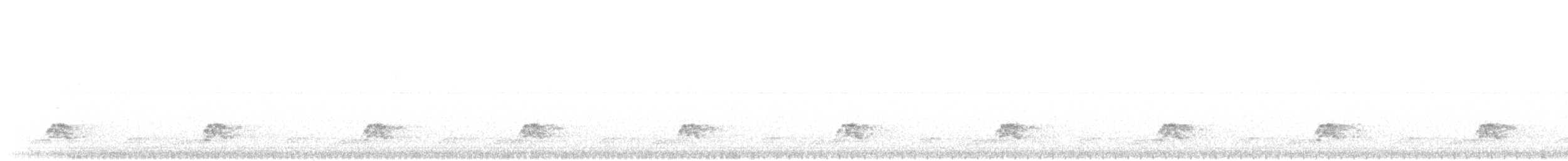 Schwarzkehl-Nachtschwalbe - ML620364538