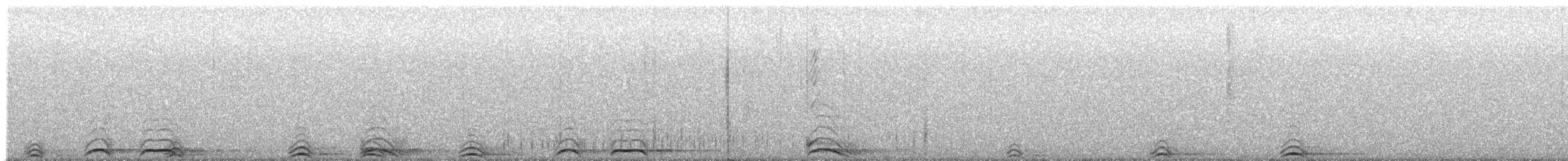 Сова плямиста (підвид occidentalis) - ML620365245