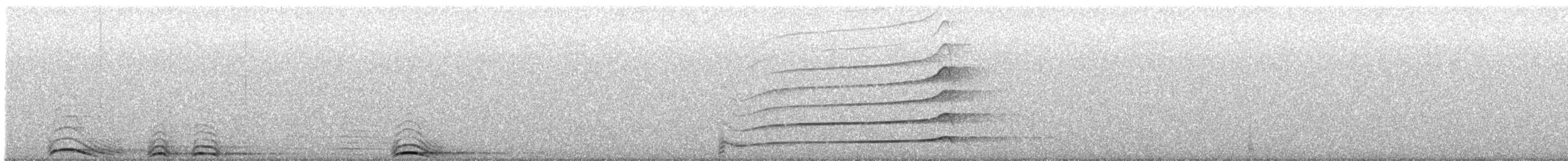 Сова плямиста (підвид occidentalis) - ML620365246